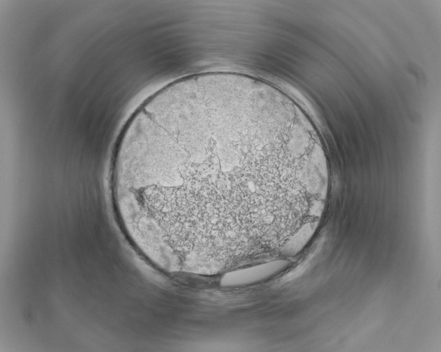 X0000110701149200907241119