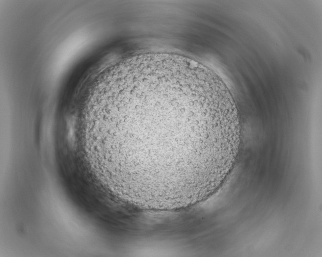 X0000110701150200907241119