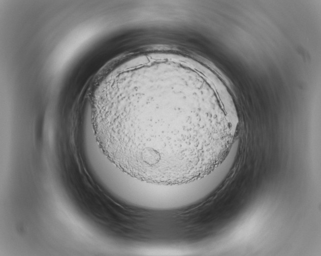 X0000110701151200907241119