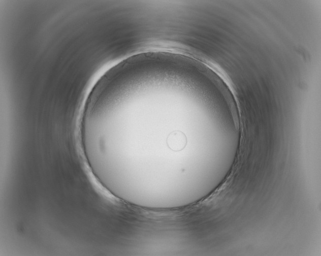 X0000110701152200907241119