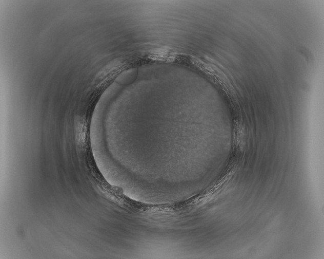 X0000110701154200907241119