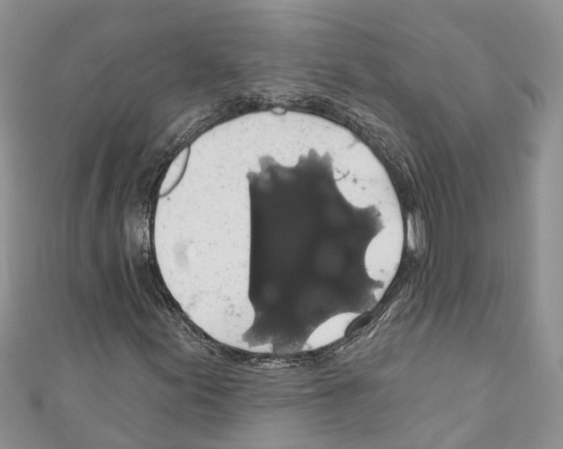 X0000110701155200907241119