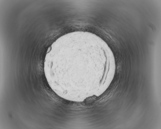 X0000110701156200907241119