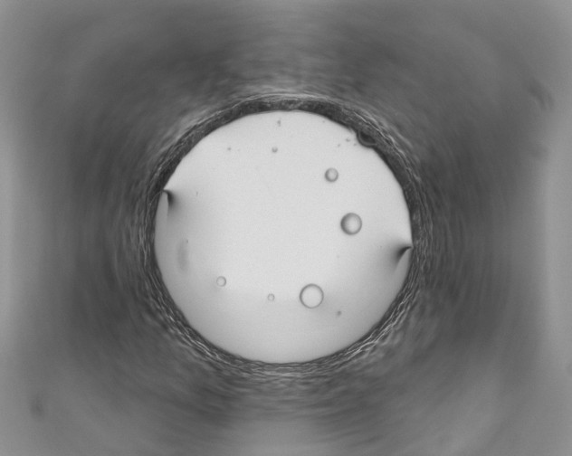 X0000110701157200907241119