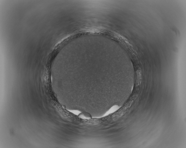 X0000110701158200907241119