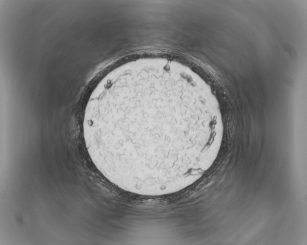 X0000110701160200907241119