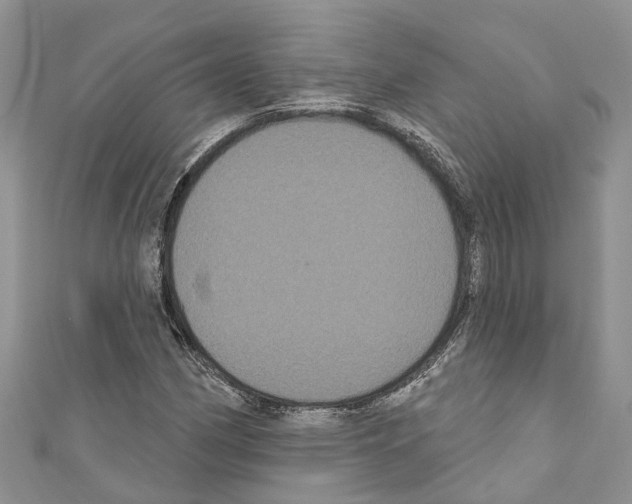 X0000110701162200907241119