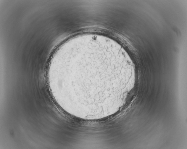X0000110701164200907241119