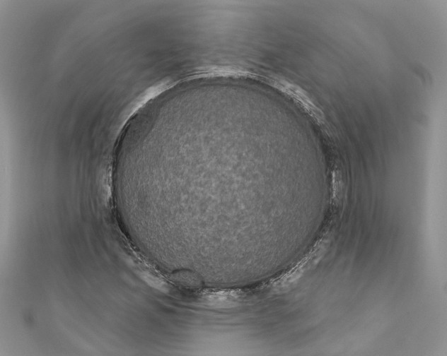 X0000110701165200907241119