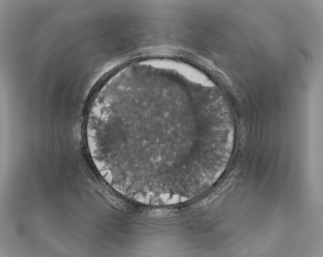 X0000110701166200907241119