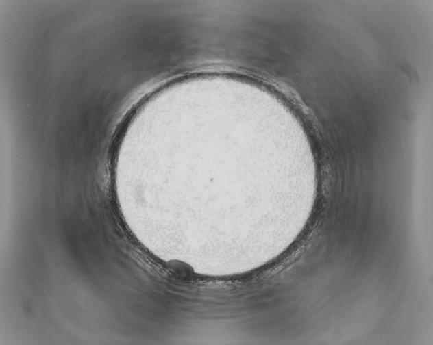 X0000110701167200907241119