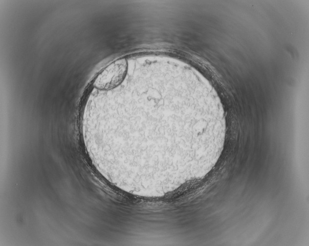X0000110701168200907241119