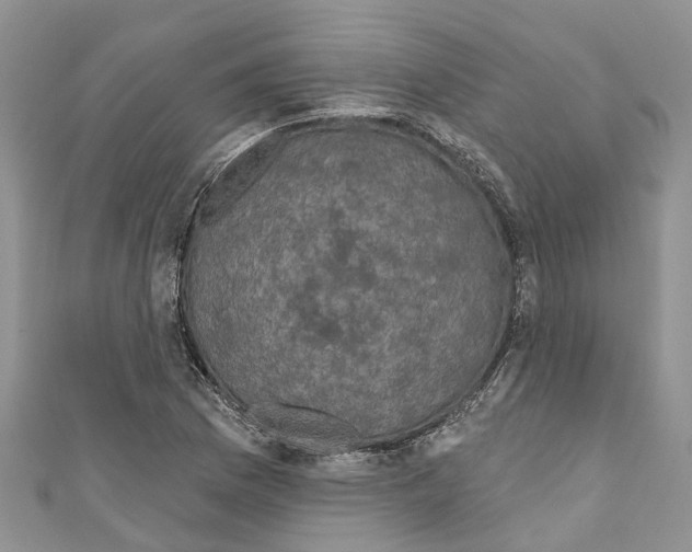 X0000110701169200907241119