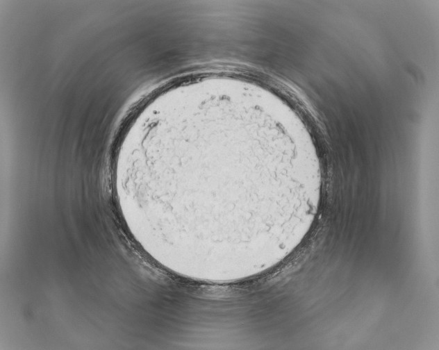 X0000110701172200907241119