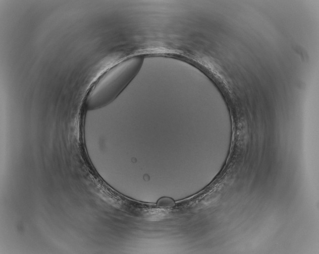 X0000110701173200907241119
