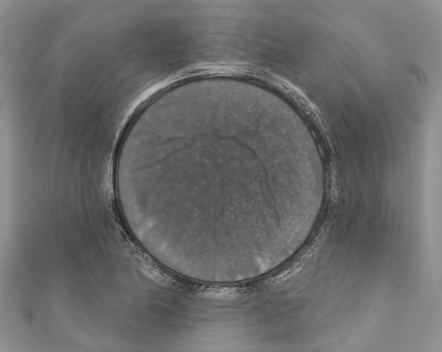 X0000110701174200907241119
