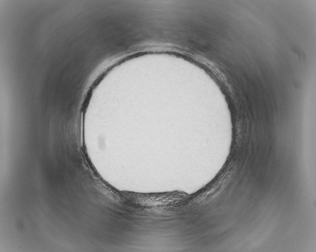 X0000110701175200907241119