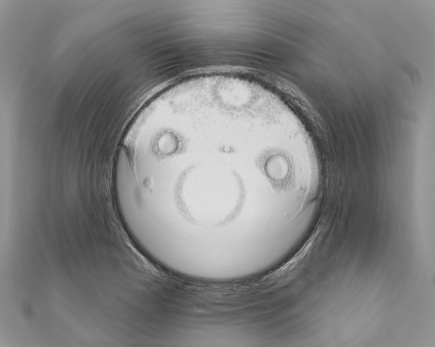 X0000110701177200907241119