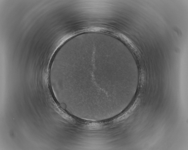 X0000110701178200907241119