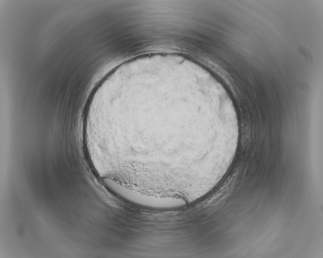 X0000110701179200907241119
