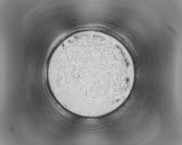 X0000110701180200907241119