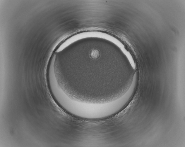 X0000110701181200907241119