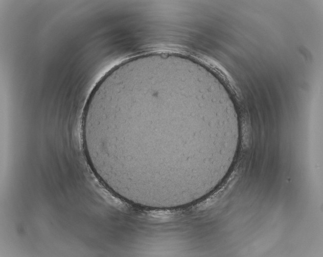 X0000110701182200907241118