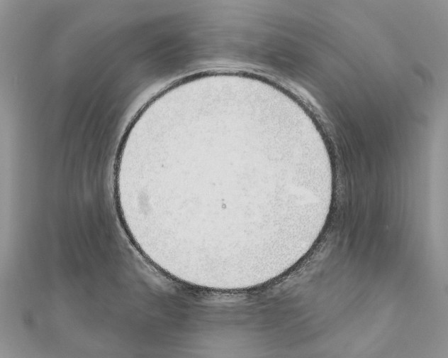 X0000110701183200907241118