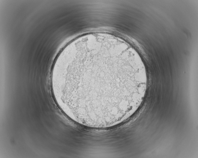 X0000110701184200907241118