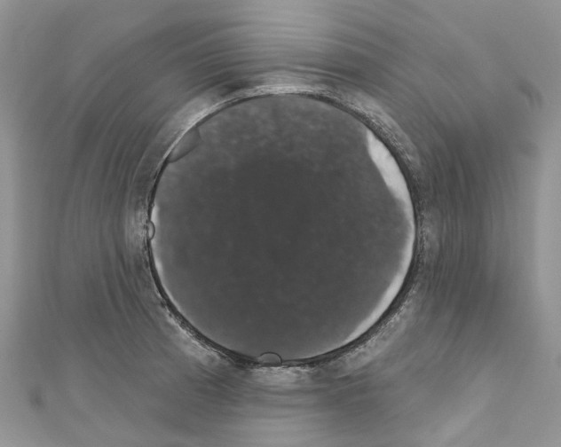 X0000110701185200907241118