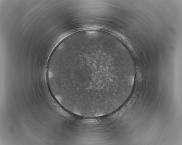 X0000110701186200907241118