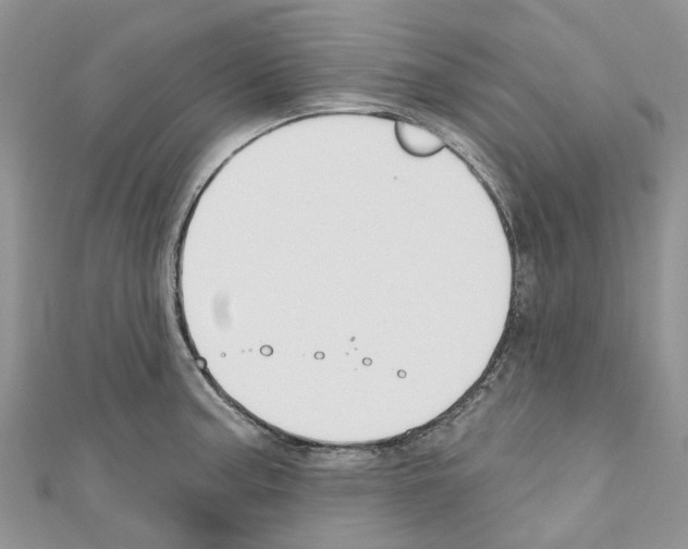 X0000110701187200907241118