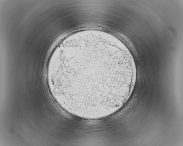 X0000110701188200907241118