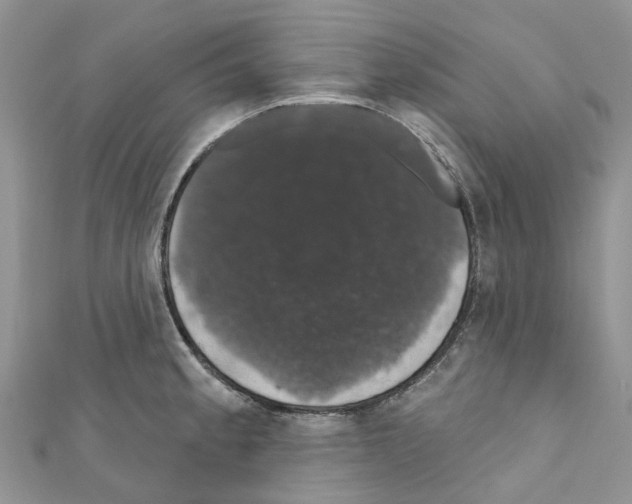 X0000110701189200907241118
