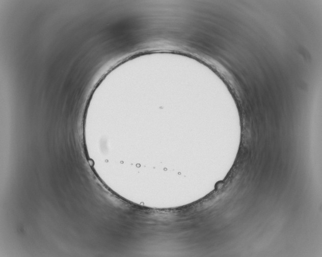 X0000110701191200907241118