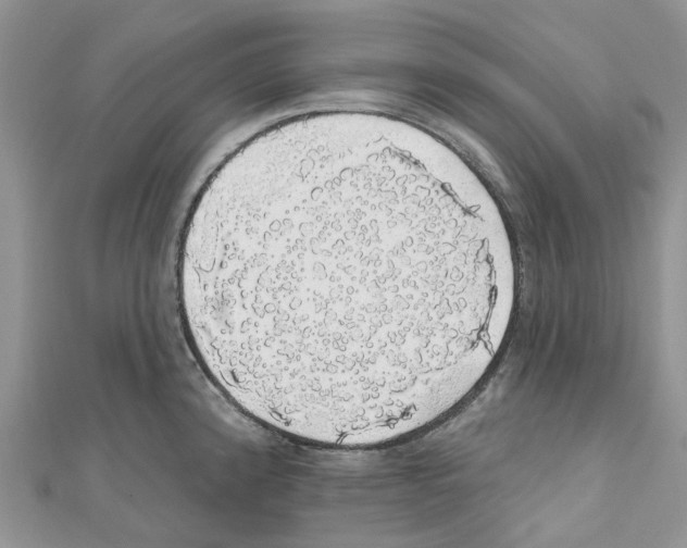 X0000110701192200907241118