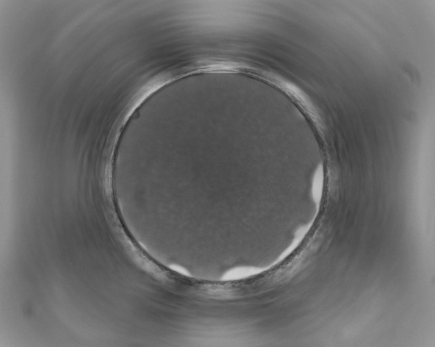 X0000110701194200907241118