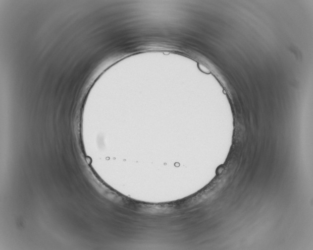 X0000110701195200907241118