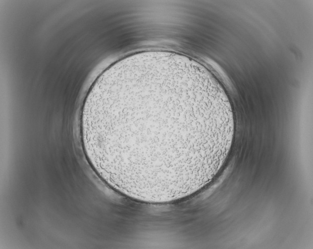 X0000110701196200907241118