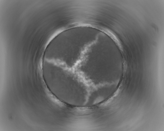 X0000110701198200907241118