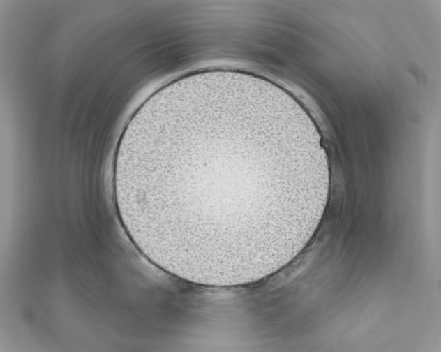 X0000110701199200907241118