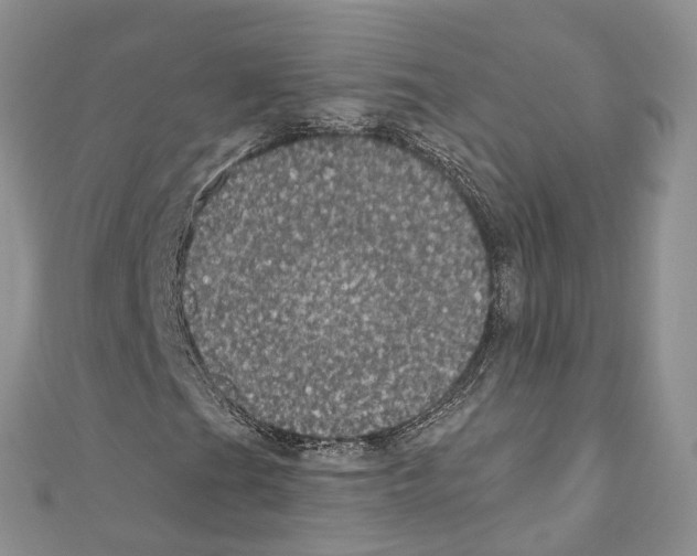 X0000110701201200907241118