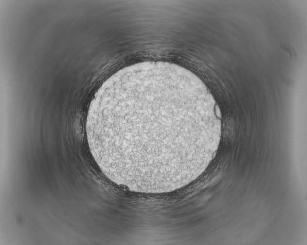 X0000110701202200907241118