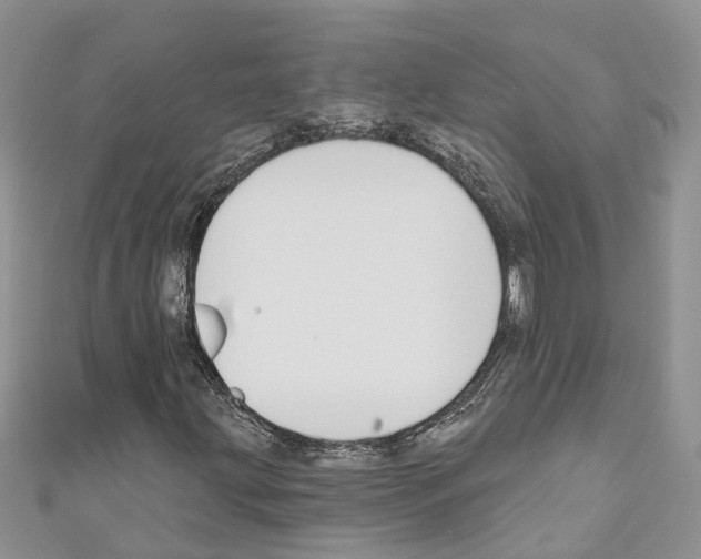 X0000110701203200907241118