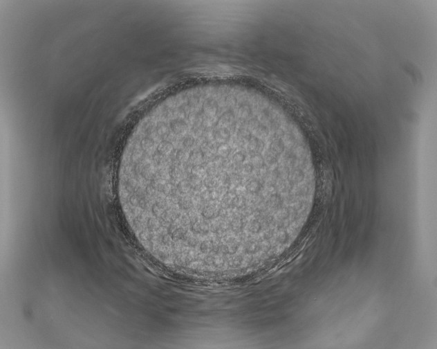 X0000110701205200907241118