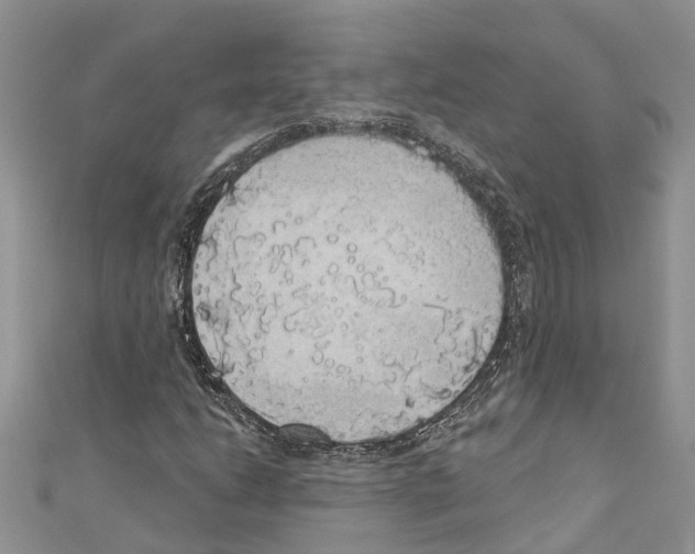 X0000110701206200907241118