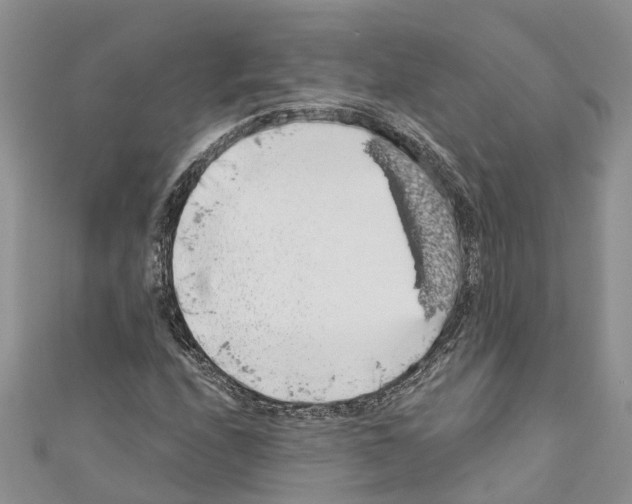 X0000110701208200907241118