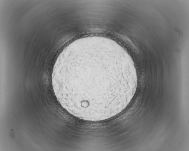 X0000110701209200907241118