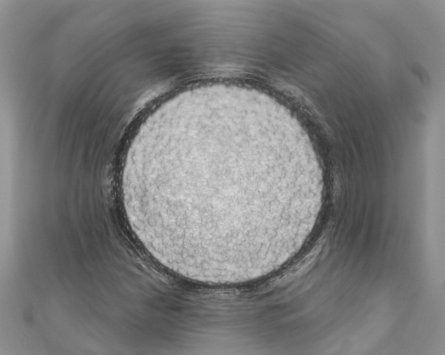 X0000110701210200907241118