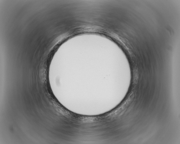 X0000110701211200907241118